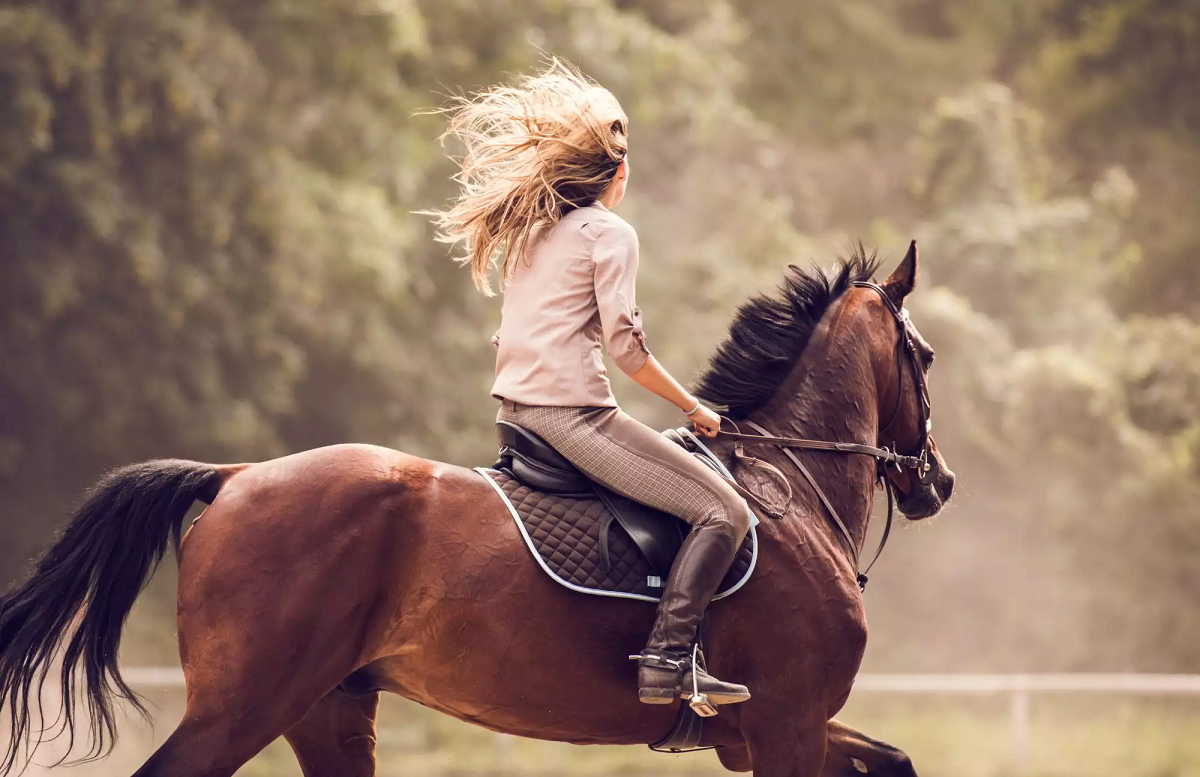 Equine Therapy