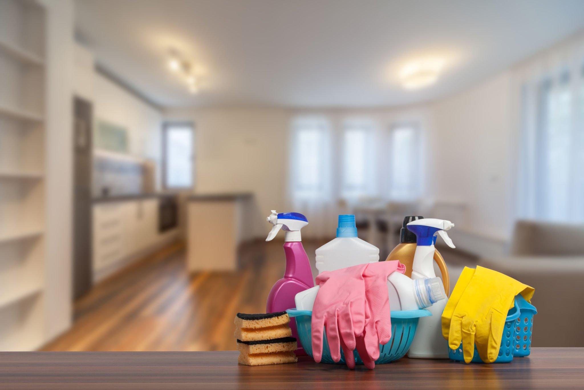 Professional Cleaning Services